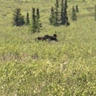 Screen Shot 2016-07-14 at 9.16.01 PM.jpg